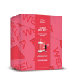 Coffret Color Brilliance - Wella professionals